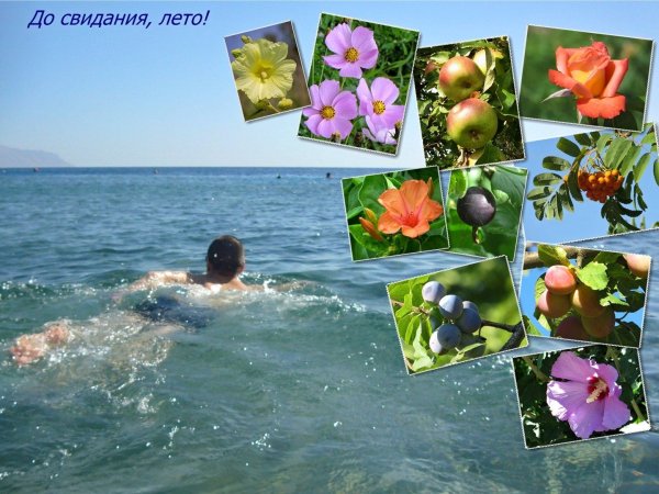 До свидания лето