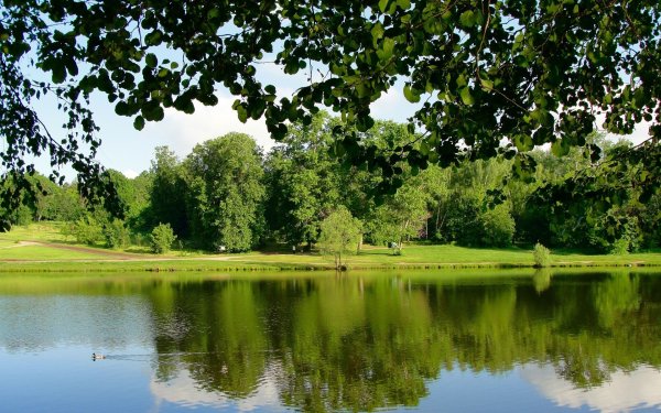 Парк с рекой