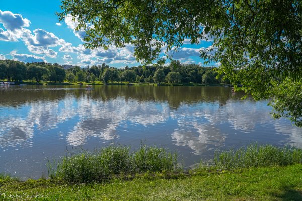 Летний водоем