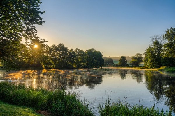 Летнее утро на реке