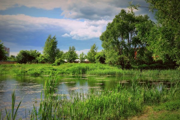 Аткарский пруды лето