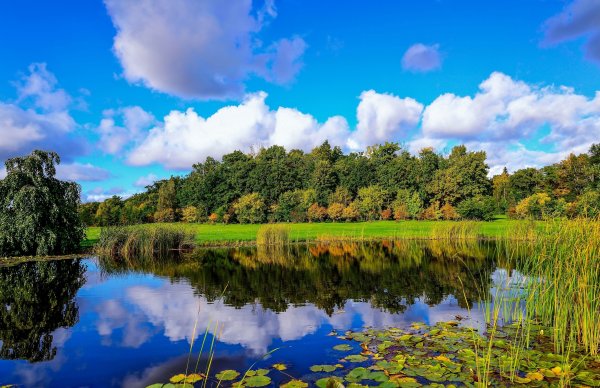 Природа речка