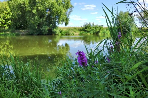 Вертикальный водоем