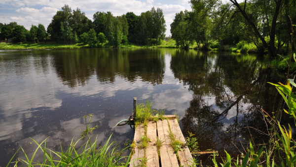 Малая Пудица река