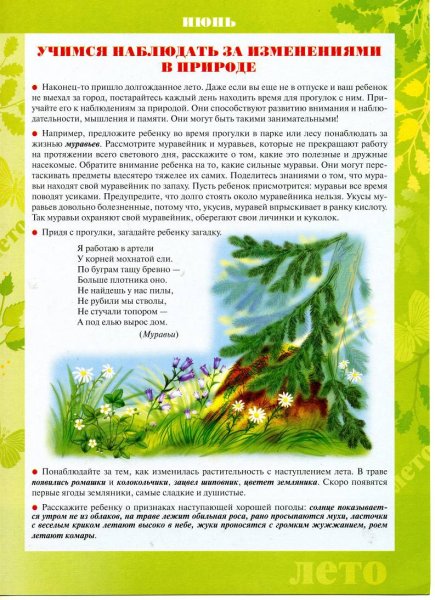 Консультации летом для родителей в детском