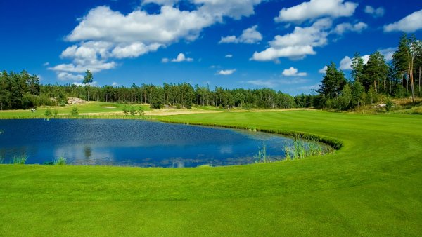 Природа лето река лес озеро