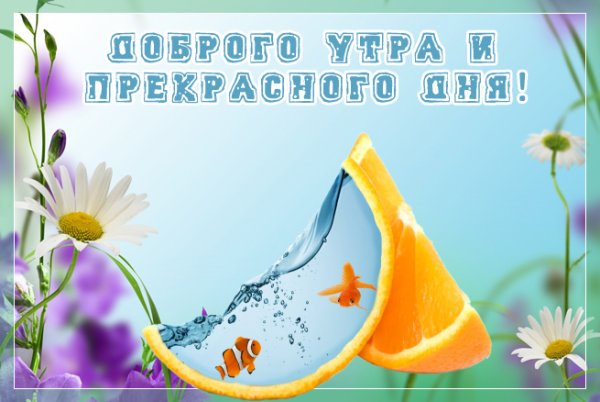 Открытки с теплым летом