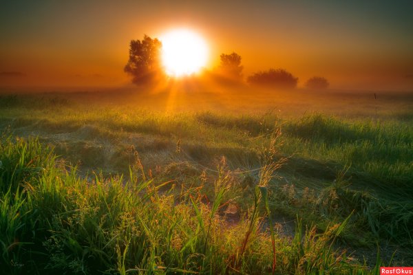 Открытки с жарким летом