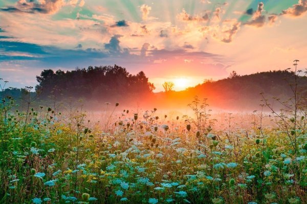 Добрый день с юмором