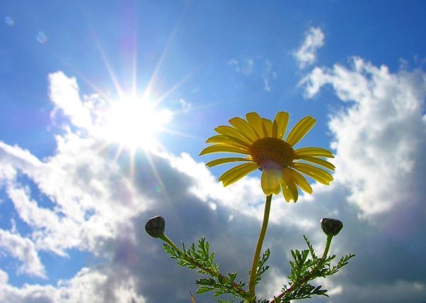 Берег океана