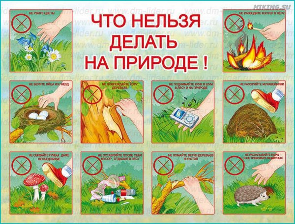 Павилапведенияв природе