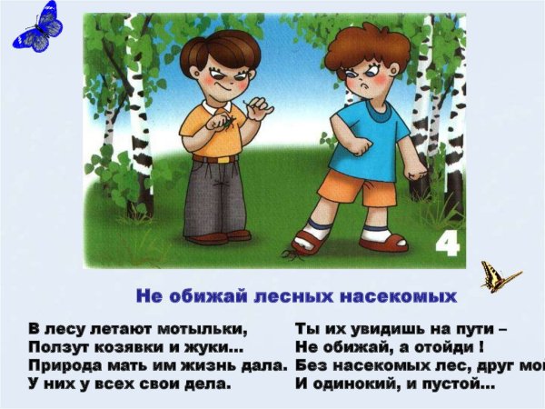 Правила поведения в лесу