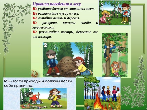 Безопасное поведение в лесу