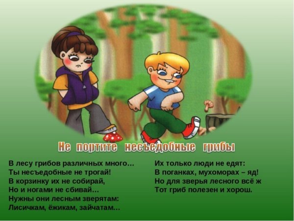 Безопасность в лесу для дошкольников
