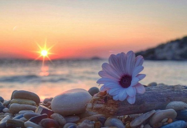 Красивые весенние часы