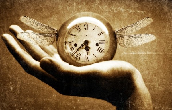 Девушка на Восходе солнца