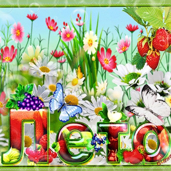 Теплого лета открытки