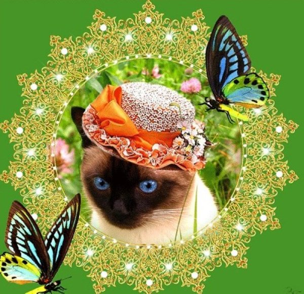 Мерцающие открытки с летом