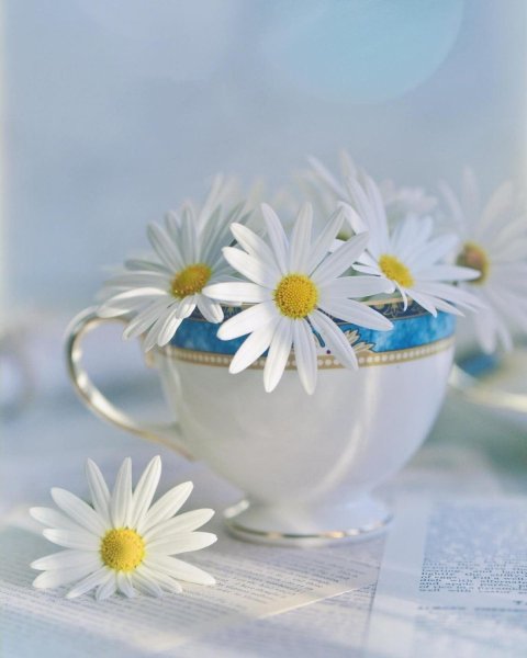 Открытки с добрым утром летние