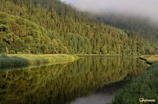 Восточносибирская Тайга реки