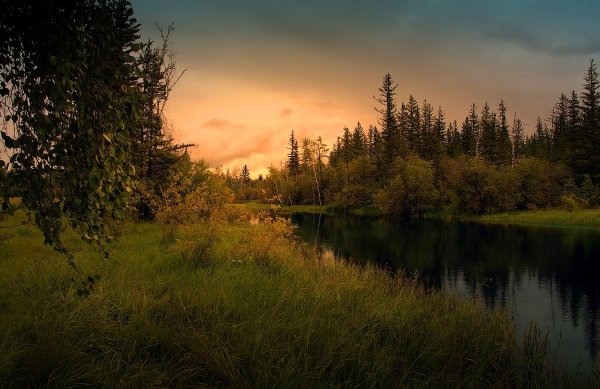 Природа Сибирская Тайга