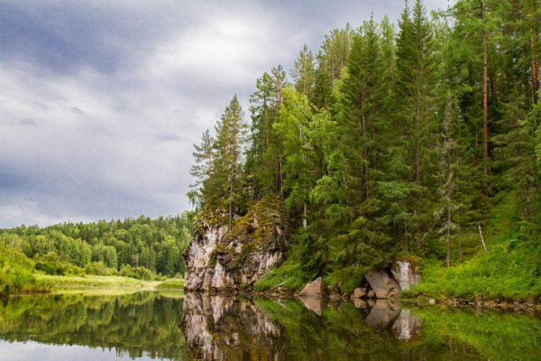 Лес Тайга Урал