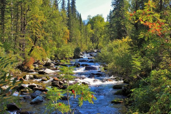 Горные реки Кузнецкого Алатау