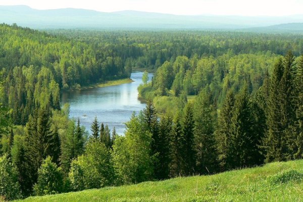 Тайга Южного Урала