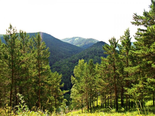 Озеро в сибирской тайге