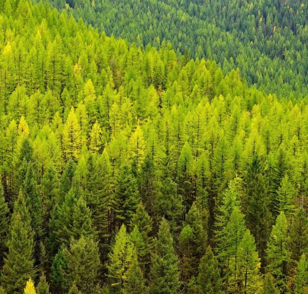 Ергаки ручей горный