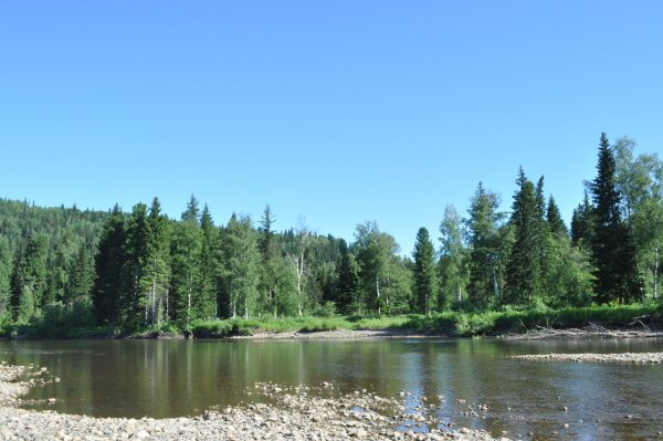 Река Карапчанка Усть-Илимск
