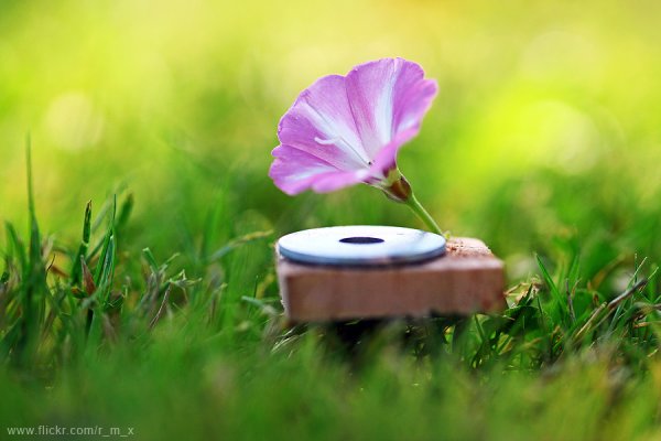 Электрогитара на природе