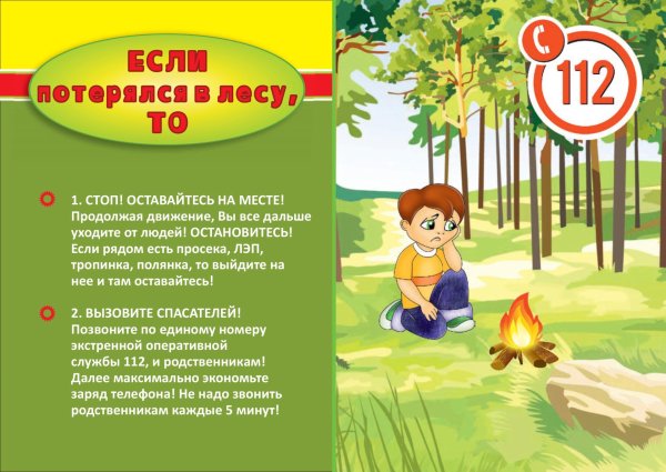 Безопасность детей в летний период