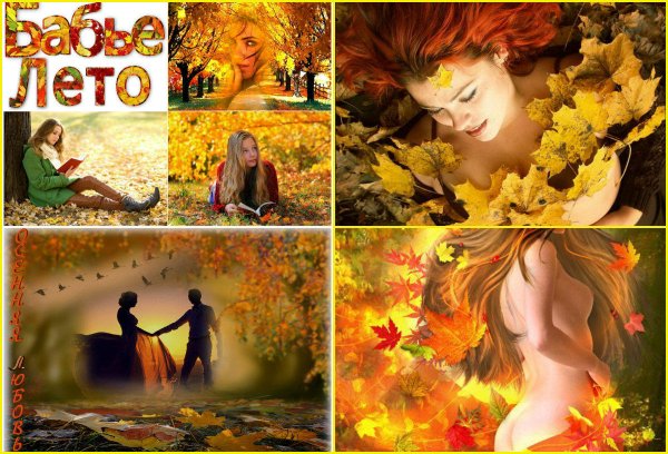 Смешные афоризмы про лето