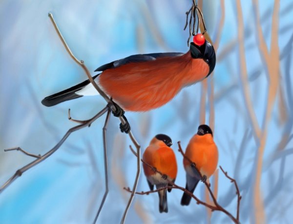 Сннегирь сидитнадереве