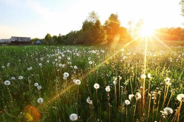 Солнечная погода