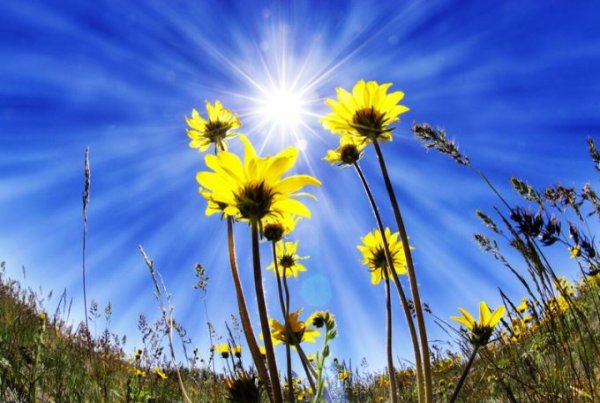 Жаркий Солнечный день