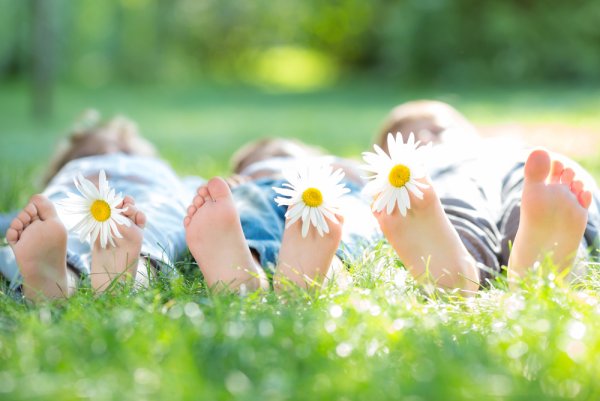 Фотосессия семьи на природе