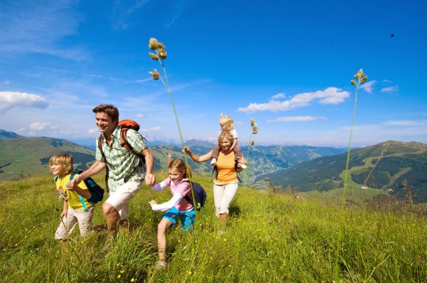 Устроить пикник