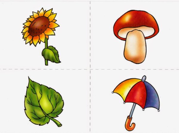 Карточки с предметами