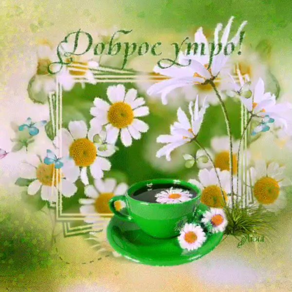 Открытки с добрым утром пятницы