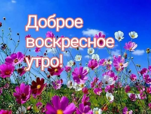 С добрым воскресным утром