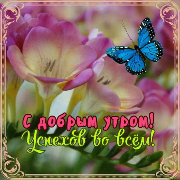 Прекрасного воскресного дня