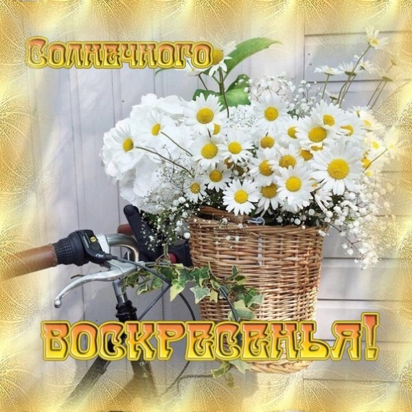 Доброго воскресного утра и отличного настроения