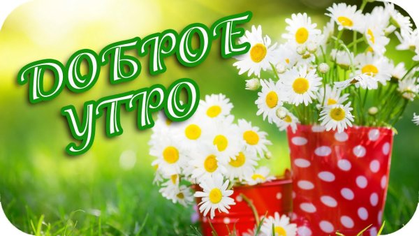 Открытки с добрым днём летние