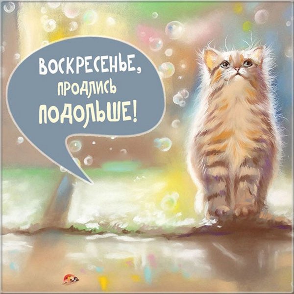 Открытки с добрым утром с природой