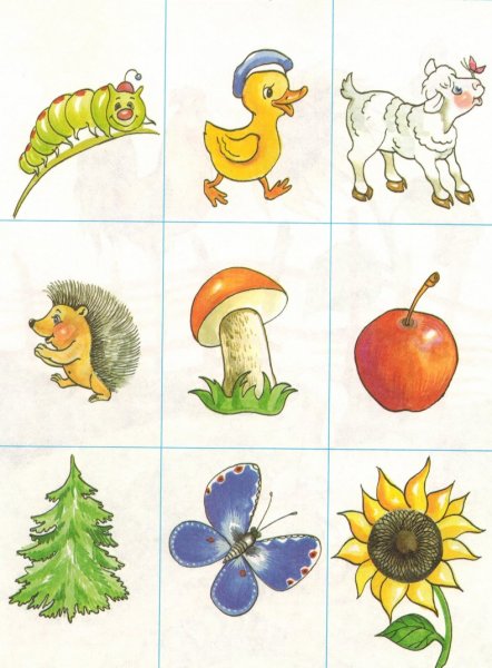 Набор картинок для запоминания