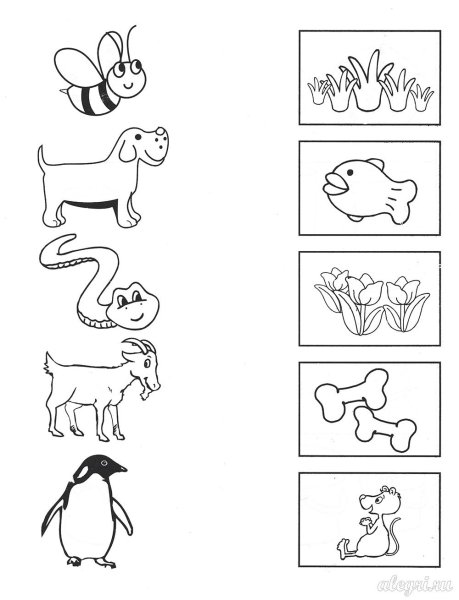 Развивашки задания для детей 3-4 лет