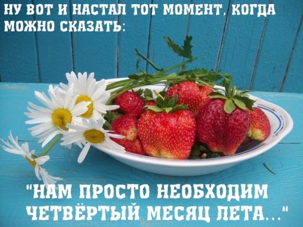 Мне срочно нужен четвертый месяц лета