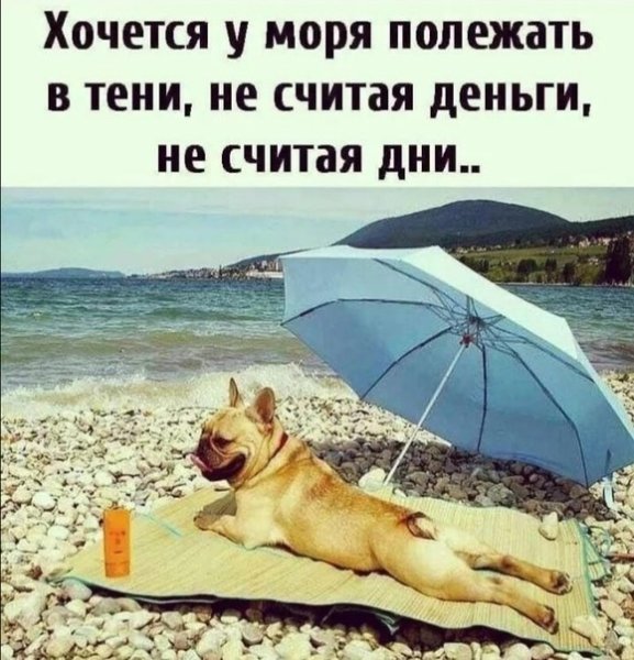 Приколы про лето